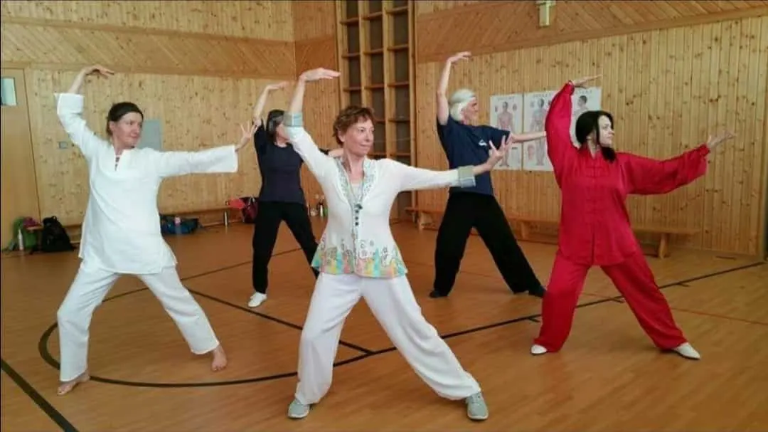 Qigong-Kurs mit Inna Illenseer in der Halle — Mehr Lebensenergie, Wackersdorf